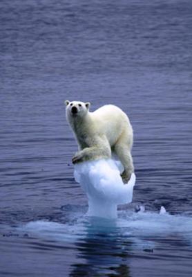 Lescalfament global de la Terra